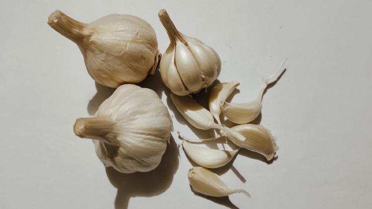 /images/garlic-scented-book-vampires.jpg