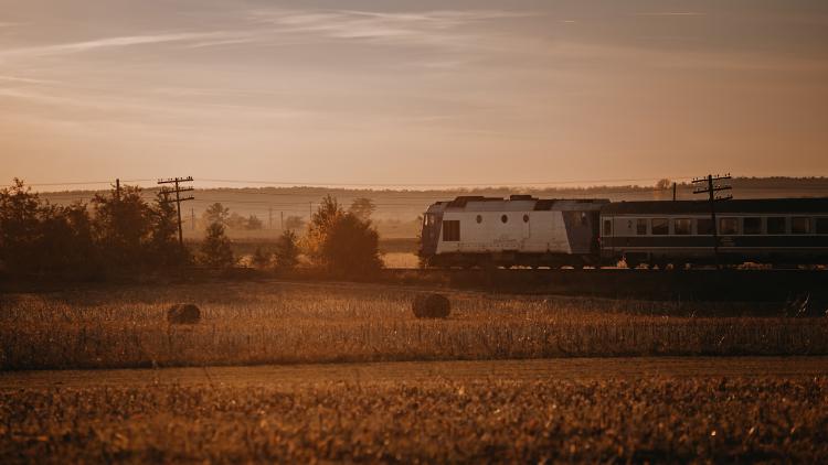 /images/joel-edgerton-train-dreams.jpg