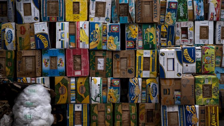 /images/larisa-dolina-legal-action-cardboard-copies.jpg