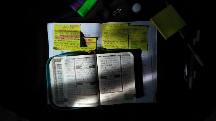 /images/m-night-shyamalan-the-notebook.jpg