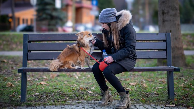/images/proposed-pet-limits-russian-duma.jpg