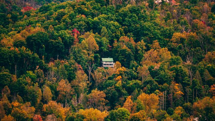 /images/rural-retreats-russia-surge-fall.jpg