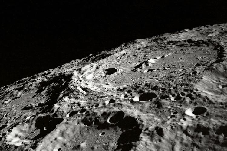 /images/scientists-grow-tea-in-lunar-soil.jpg